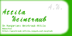 attila weintraub business card
